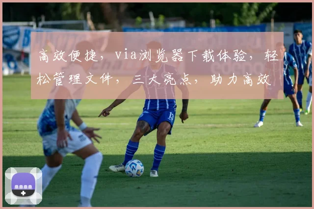 高效便捷，via浏览器下载体验，轻松管理文件，三大亮点，助力高效办公