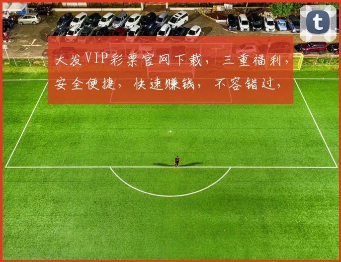 大发VIP彩票官网下载，三重福利，安全便捷，快速赚钱，不容错过，立即下载