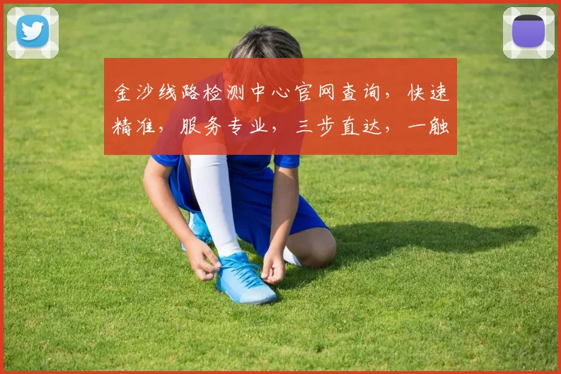 金沙线路检测中心官网查询，快速精准，服务专业，三步直达，一触即达，高效便捷