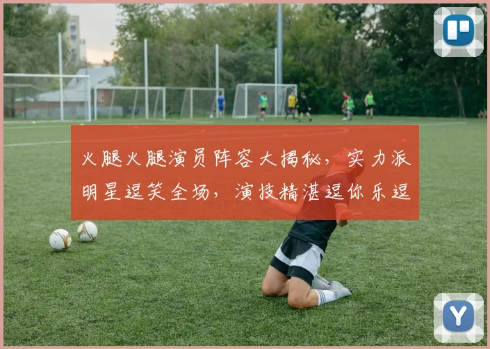 火腿火腿演员阵容大揭秘，实力派明星逗笑全场，演技精湛逗你乐逗逗逗