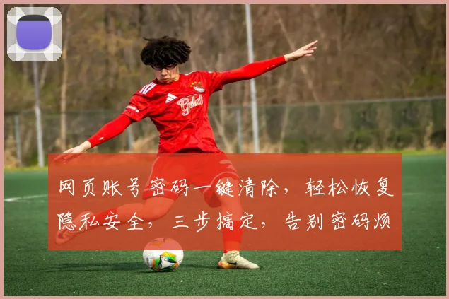 网页账号密码一键清除，轻松恢复隐私安全，三步搞定，告别密码烦恼，轻松体验
